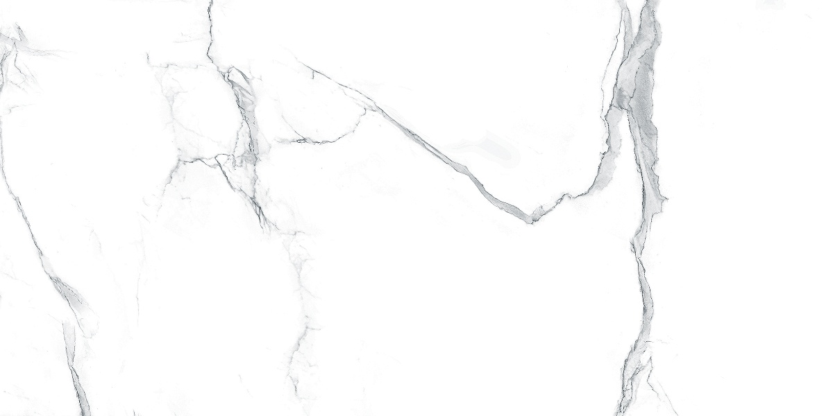 CARRARA SILVER