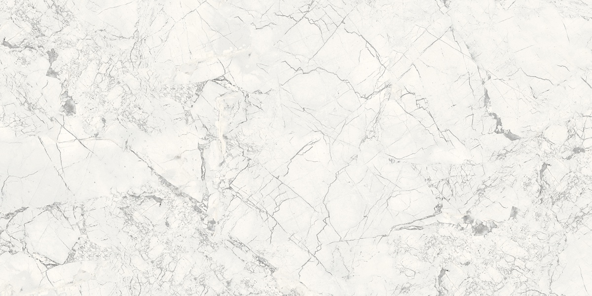 BRECCIA SILVER