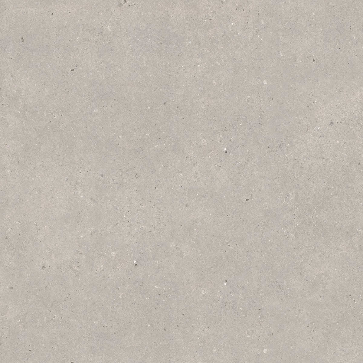 Altantis Grey